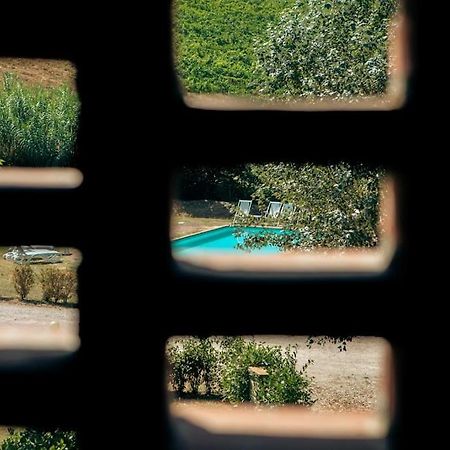 Fienile Panoramico Nel Chianti Villa Greve in Chianti Luaran gambar